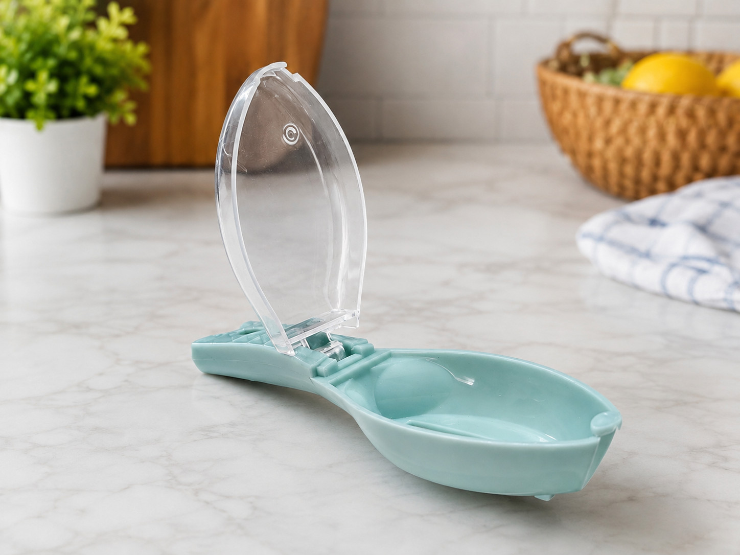 Fish scaler