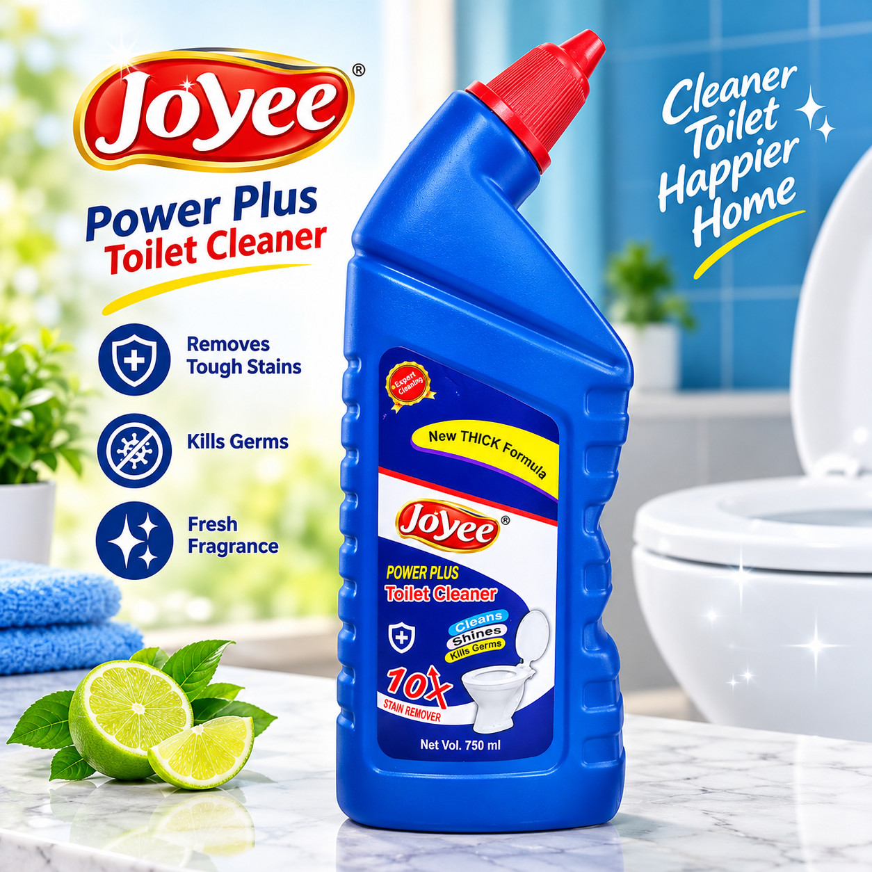 Toilet cleaner